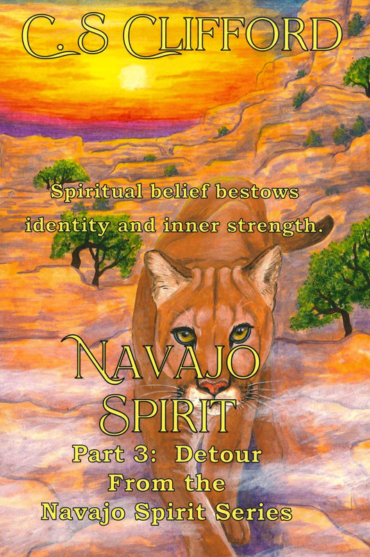 Navajo Spirit Part 3: Detour